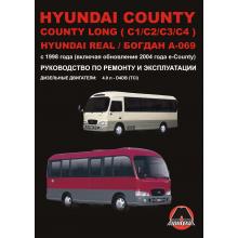 Hyundai Real /County / County Long/ / Богдан A-069 c 1998 г. Ремонт